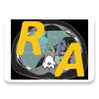 Radiology CT Anatomy